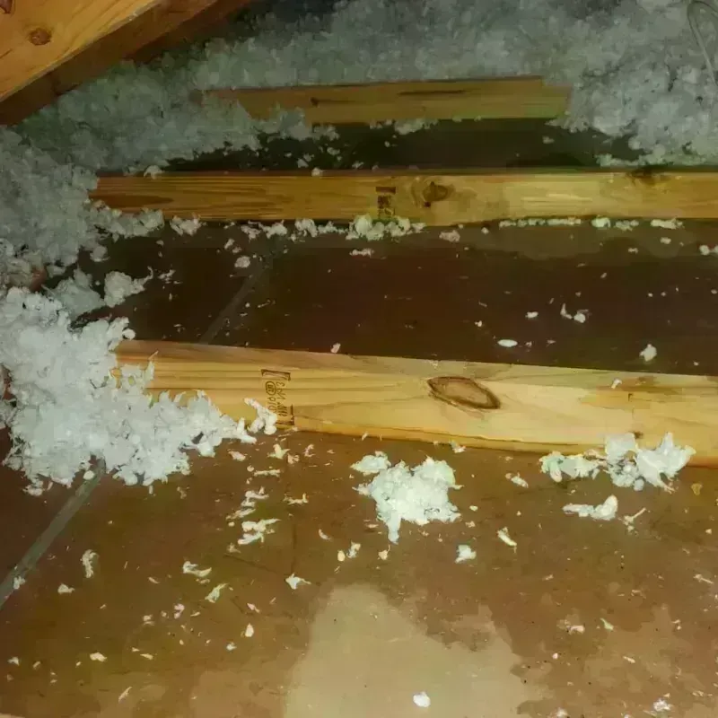 Attic Water Damage in Yerington, NV